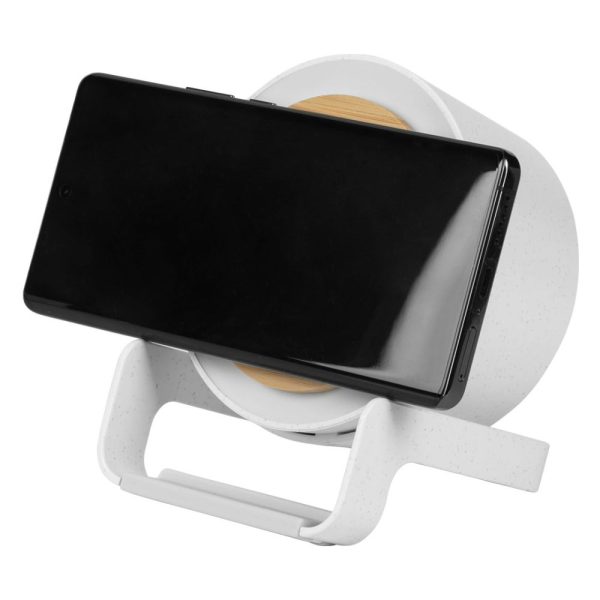 3798890_004 REFLECTOR